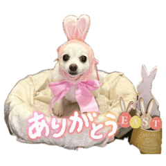 Lui_20260505213824