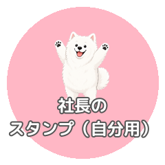 sachosticker ceo