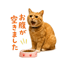 Tipsy Ginger Cat Stickers