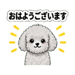 toy poodle silver - Daily Chat Stickers