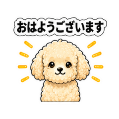 toy poodle cream - Daily Chat Stickers