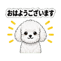 toy poodle white - Daily Chat Stickers