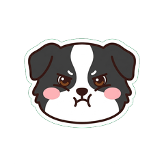 邊境牧羊犬表情 1