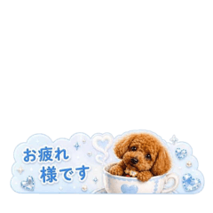 nicolon:_20260505204150