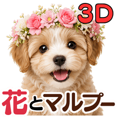 3D Maltipoo & Flower Stickers