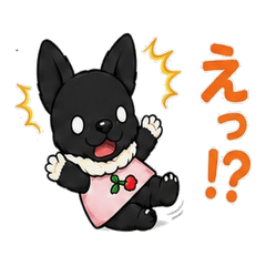 Kuroinu Stickers 4