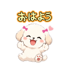 cocoa_20260505213517