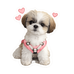 Arin_20260505213210