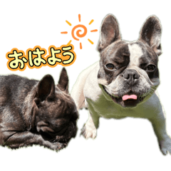 Tangoro_20260505213419