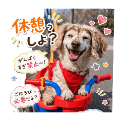 CHURA_20260505215048