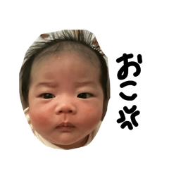 koha_20260505215110
