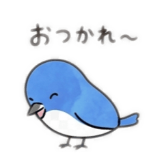 kurumin_20260505215242