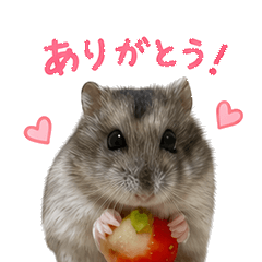 Little Ham Everyday Stickers