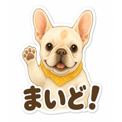 Funny KANSAI DOG