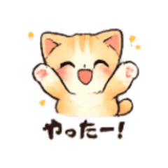 Kitten - Daily Chat Stickers2