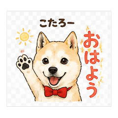sibainu kotaro no.2