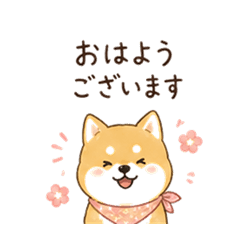 Shiba Inu's Polite Daily Phrases