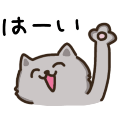 haiiroookami