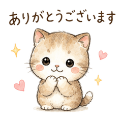 Soft Paws Everyday Chat