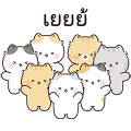 Sweet Wuong