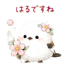 Popo: Spring Snow Fairy