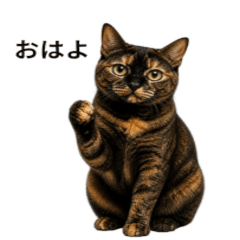 Gentle Tortoieseshell Cat