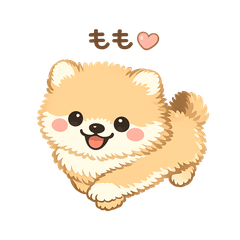 Fluffy Pomeranian Momo Daily Stickers