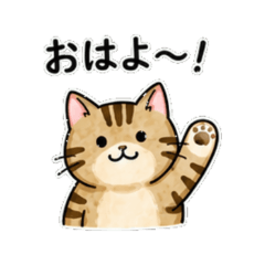 tabby cat - Daily Chat Stickers