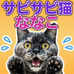 NANAKO AI love Tortoiseshell cat "sabi"8