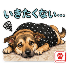 Komachan Lazy Morning