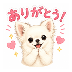 Chihuahua explosion