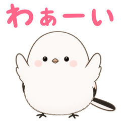 Soft Shimaenaga: Daily Replies