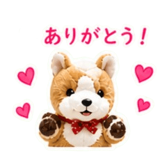 cute corgi 32