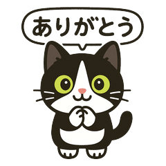 Sock Cat Stickers