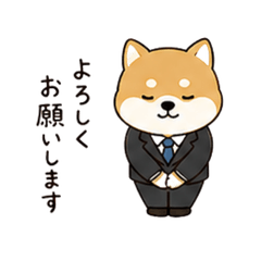 Polite Shiba Inu Office Worker Rin