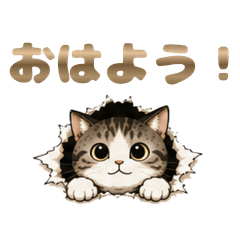 Shoji Break Cat