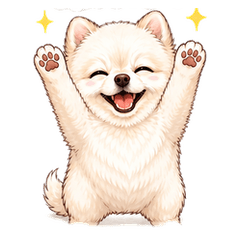 Suzu the White Pomeranian