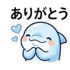 Fluffy Dolphin - Daily Healing