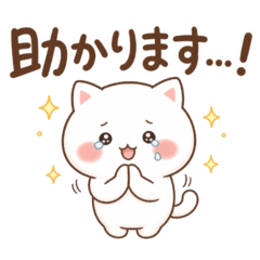 Soft Polite Cat Stickers - Gentle Tone