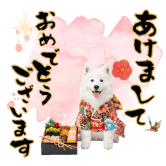 DOG  GOOD  Sticker289