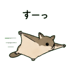 Gliding Squirrel