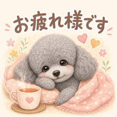 Grey Toy Poodle Daily Stickers