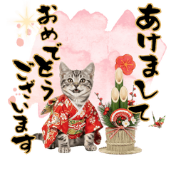 CAT GOOD Sticker127