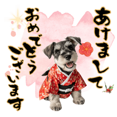 DOG  GOOD  Sticker292