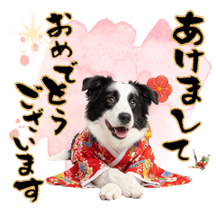DOG  GOOD  Sticker293