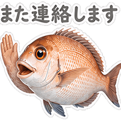 honorific Real red sea bream