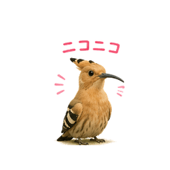 Realistic Hoopoe Bird Stickers