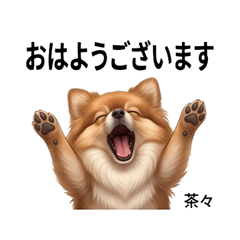 Chacha Daily Stickers Vol.1