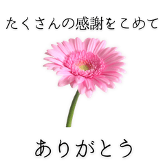 Mother Day thanks with sincerity.ver3