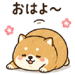 Shiba Inu: Everyday Greetings